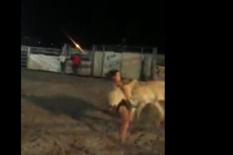 Видео: Жена во арена со бик!!