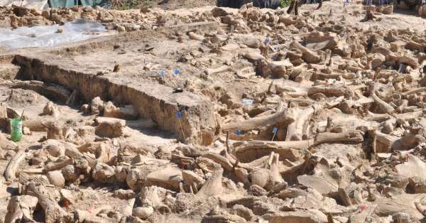 Во Русија е откриена мистериозна градба од коски на мамути, стара 25 000 години (ФОТО)