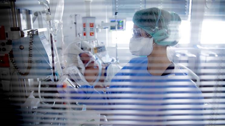 Србија има над 8.000 заболени од коронавирус , денеска починаа уште пет лица