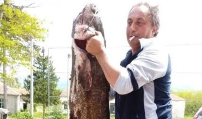 Фото: На Јужна Морава уловил сом од 50 килограми