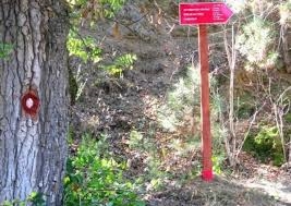Планинари од спортскиот клуб ,,Голак" го искачија врвот ,,Бејаз Тепе" на планината Средна
