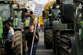 Германските земјоделци бараат државна помош поради климатските промени 