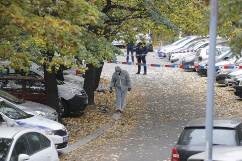 Во Белград убиен синот на легендарниот фудбалер Сребренко Репчиќ