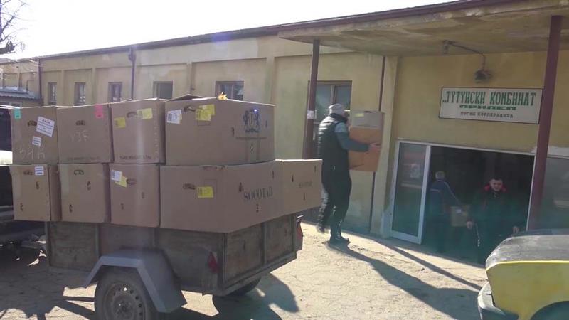 Тутунарите во „трка“ со крајните законски рокови за откуп на тутунот