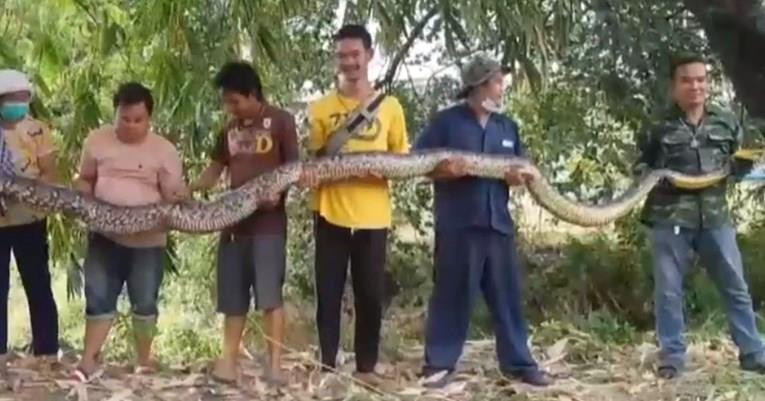 Селанец се шокирал кога видел што му шета низ дворот (ВИДЕО)