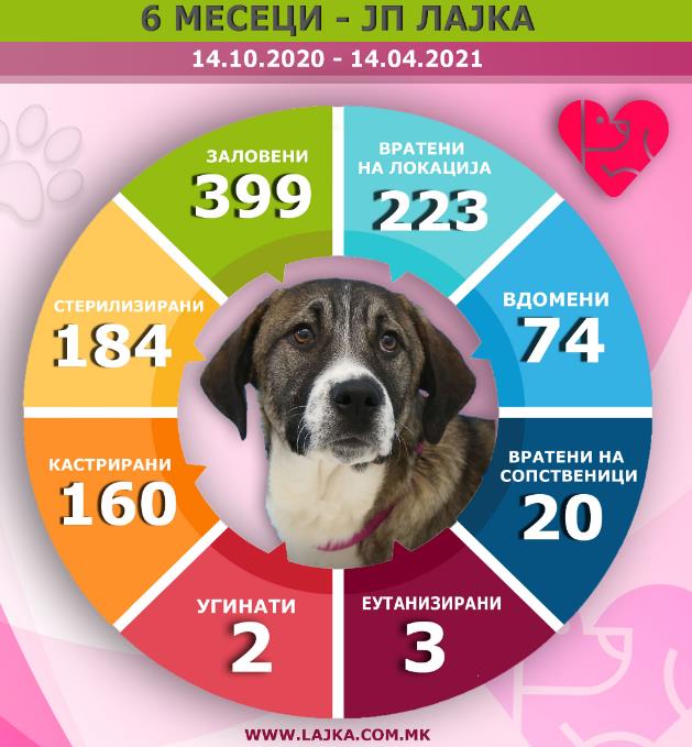 Лајка одбележува 6 години од своето постоење