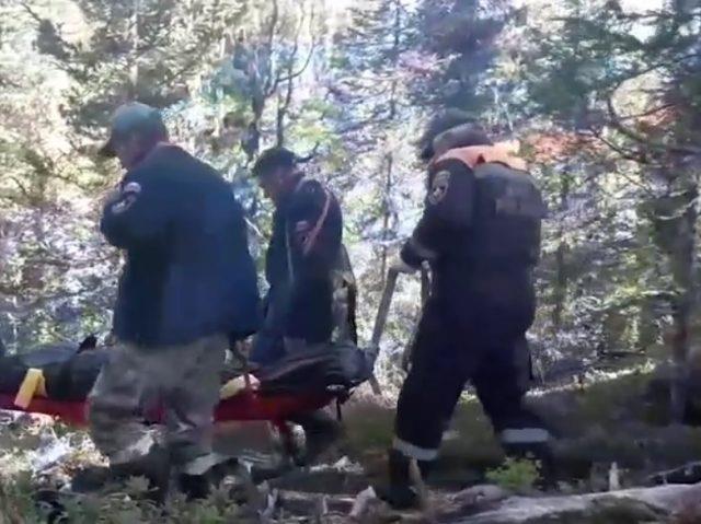 Трагедија во Русија: Девојче загина во напад на мечка врз група туристи (ВИДЕО)