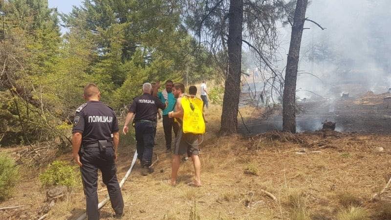Спречени два обида за подметнување пожари во Кочани