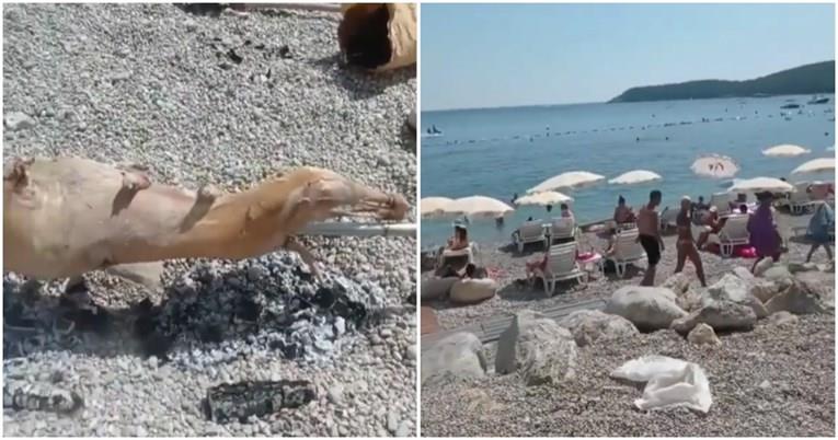 Видео: На плажа во Црна Гора се пече јагне