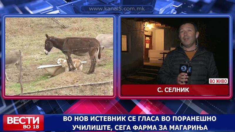 Како се гласа во Селник делчевско?