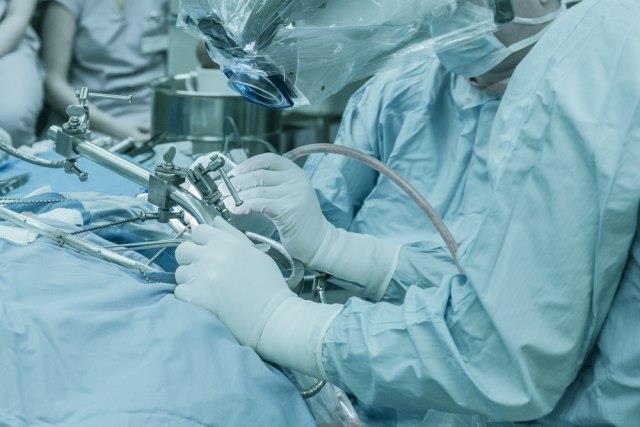 Во САД успешно пресаден бубрег од генетски модифицирано прасе на човек