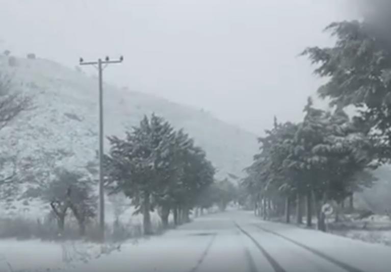 Училиштата во повеќе делови на Грција се затворени поради невремето „Елпида”