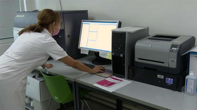 На Клиниката за хематологија лани направени 60 трансплантации на матични клетки