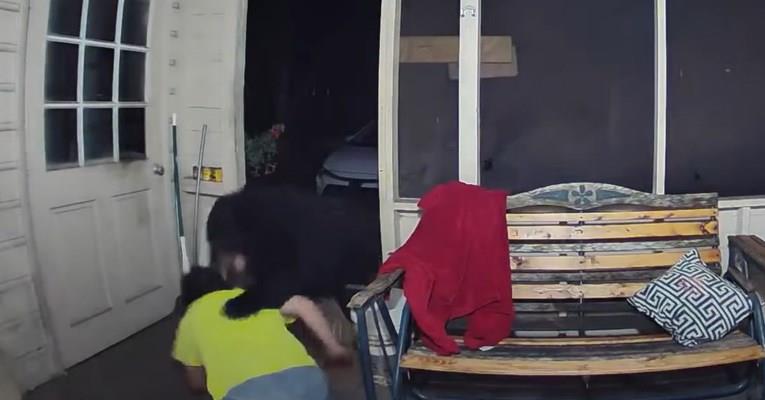 Маж со голи раце се бори со мечка за да си ги спаси кучињата (ВИДЕО)