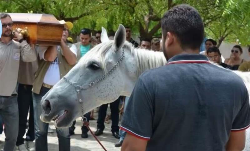 Реакцијата на овој коњ ќе ги увери и најголемите скептици дека животните имаат емоции