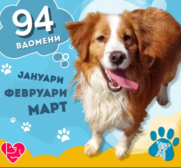 ЈП ЛАЈКА: Во првото тромесечие вдомени 94 кучиња