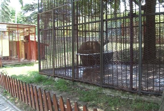 Штипскиот ЗОО парк има нови жители