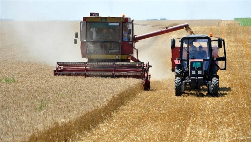 Кина најави рекордна жетва на житото