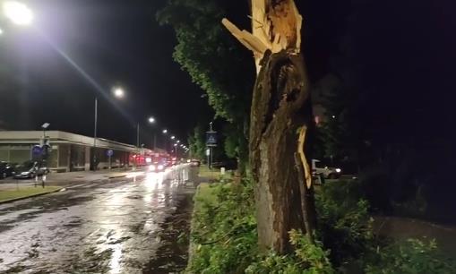 Фото: Силно невреме во Хрватска, ветерот кршел дрвја 
