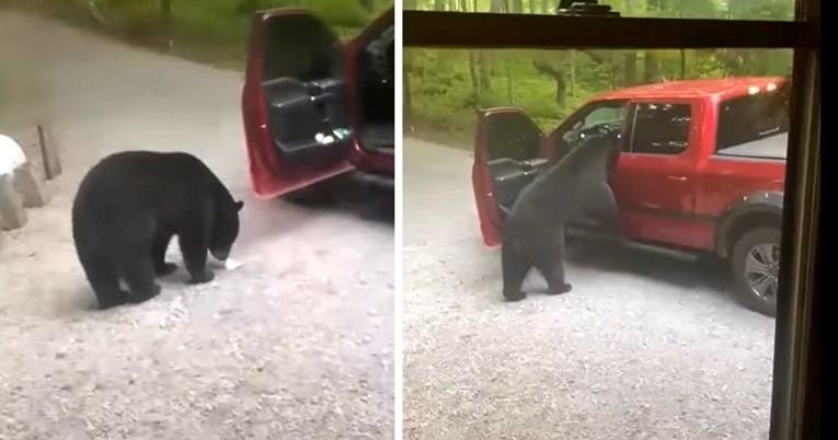 Гладна дива мечка влезе во паркиран камионет и го уништи (ВИДЕО)