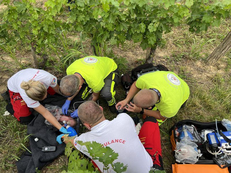 Хрватка се породила во лозје во Унгарија и го оставила бебето да умре