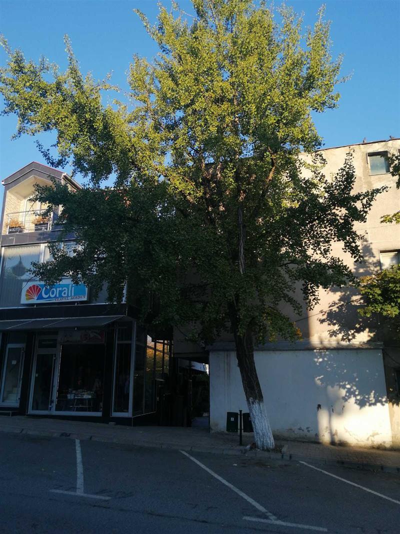 Ромео од Неготино тагува по својата Јулија 