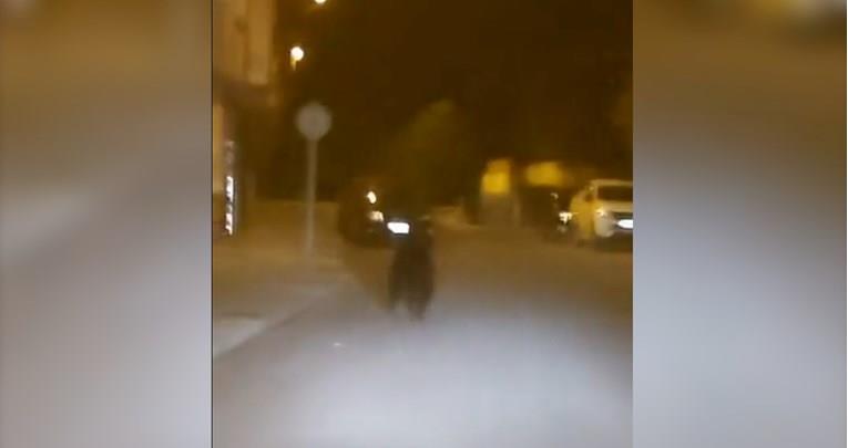 Мечка ги преплаши жителите на град во Шпанија, се прошета среде улица (ВИДЕО)