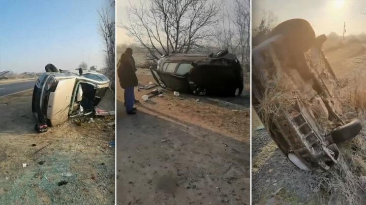 Сообраќајка со седум повредени во Србија- причината е украдено јагне (ВИДЕО)