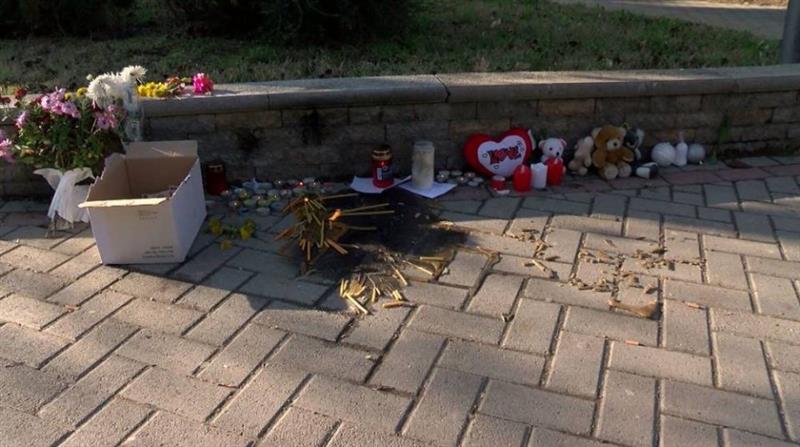 30- дневен притвор за велешанецот кој прегази девојче и избега 