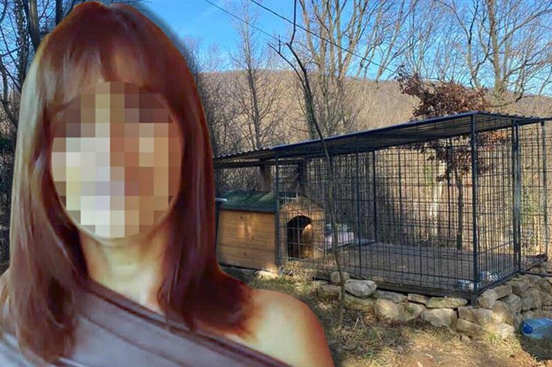 Виолета М., жената која ги пуштила кучињата-убијци, за да го изгризаат до смрт српскиот новинар