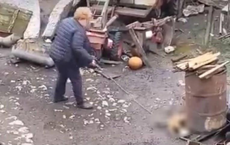 Жена во Србија до смрт претепува кученце, уапсена е (Вознемирувачко видео) 