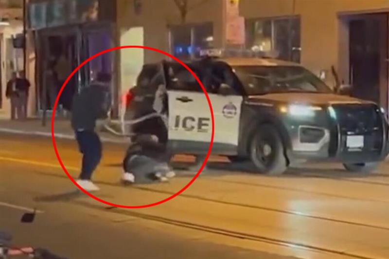 Видео: Најлуда улична тепачка, со змија го нокаутираше противникот