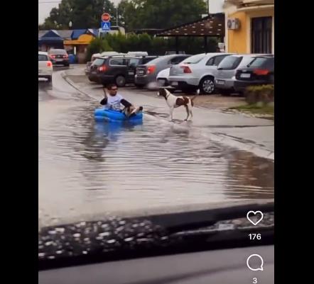 Видео: Во Белград на улица се вози со чамец
