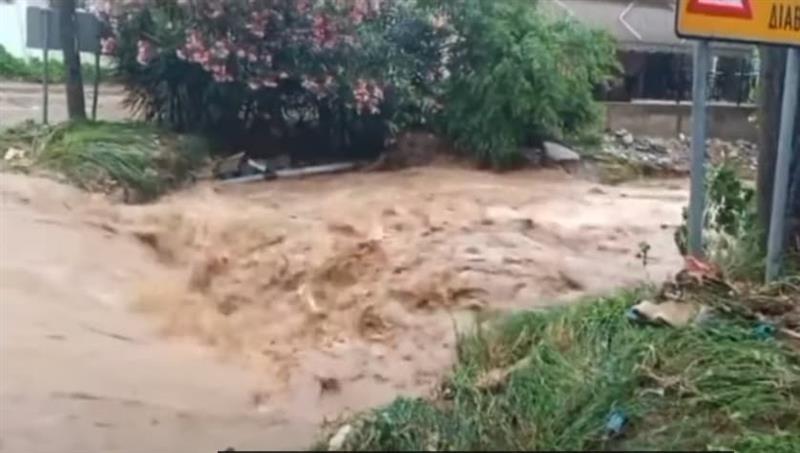Солун под вода: Надојдените води носат возила и дрвја, порои по улиците (ВИДЕО)