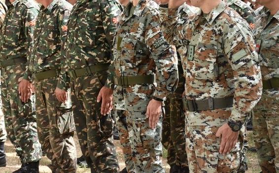 Сиљановска-Давкова донесе одлука за ангажирање на Армијата во справувањето со пожарите