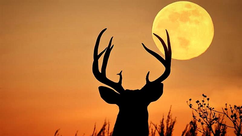 3 Јули, полна месечина или позната како „BUCK MOON”