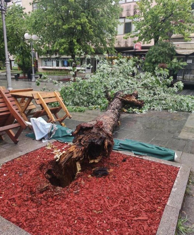 Видео: Хаос во Белград, ветер носи контејнери, урива огради, паднат град со големина на орев 