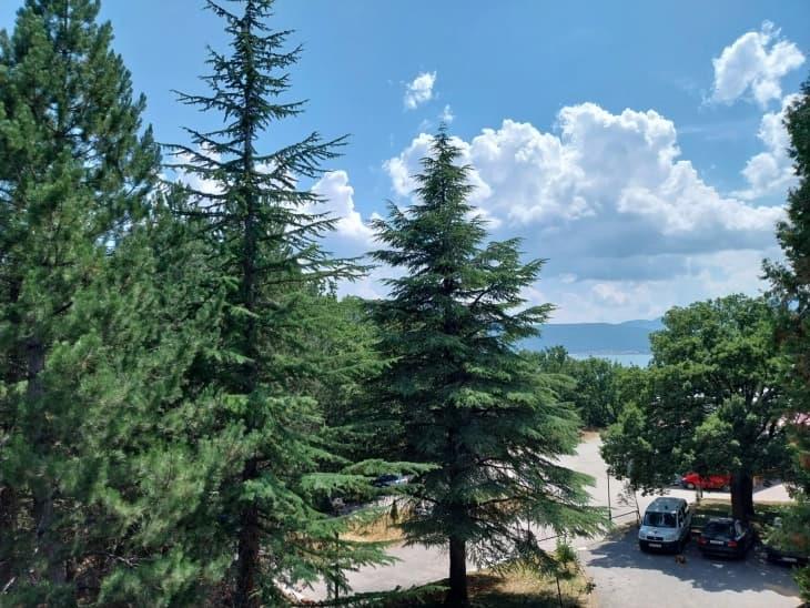 На брегот на Преспанското Езеро воздушна бања за респираторно болните