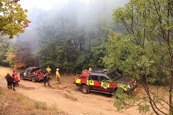 По 17 дена, заврши борбата со пожарите во грчката област Еврос