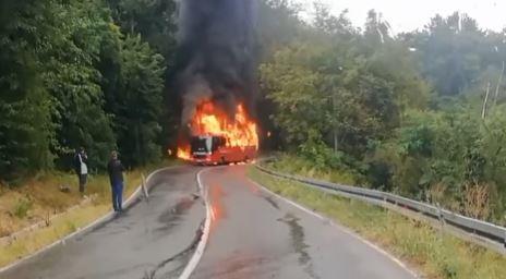 Видео: Изгоре градски автобус кај Белград