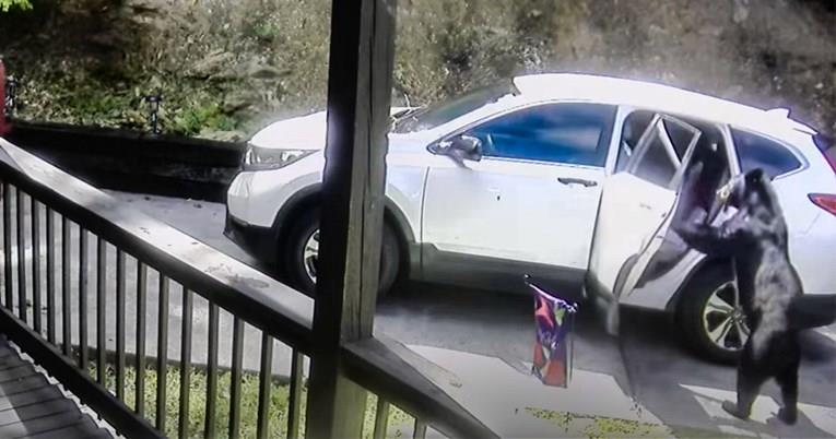 Мечка влезе во паркиран автомобил во потрага по храна (ВИДЕО)