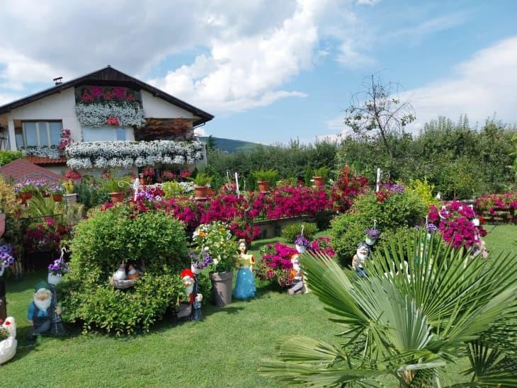 Бајковито, магично, волшебно - „Куќата на цвеќето“ репрезент на Преспа