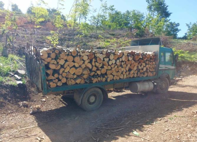 Камион товарен со дрва во обид да избега од полицијата и излетал од патот