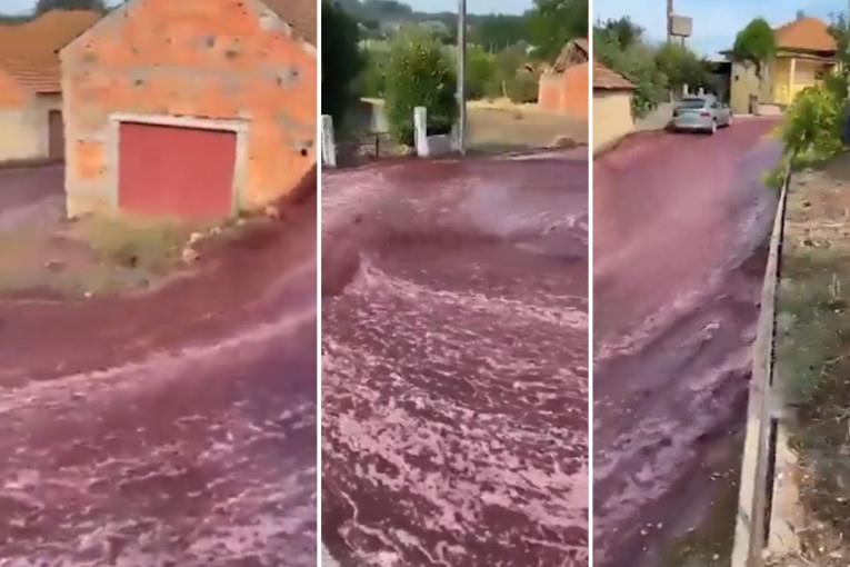 Видео: Вино течеше низ улиците на град во Португалија