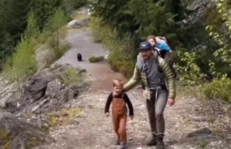  Едно семејство шетало низ шума, не насетувајќи дека нешто ги демне (видео)