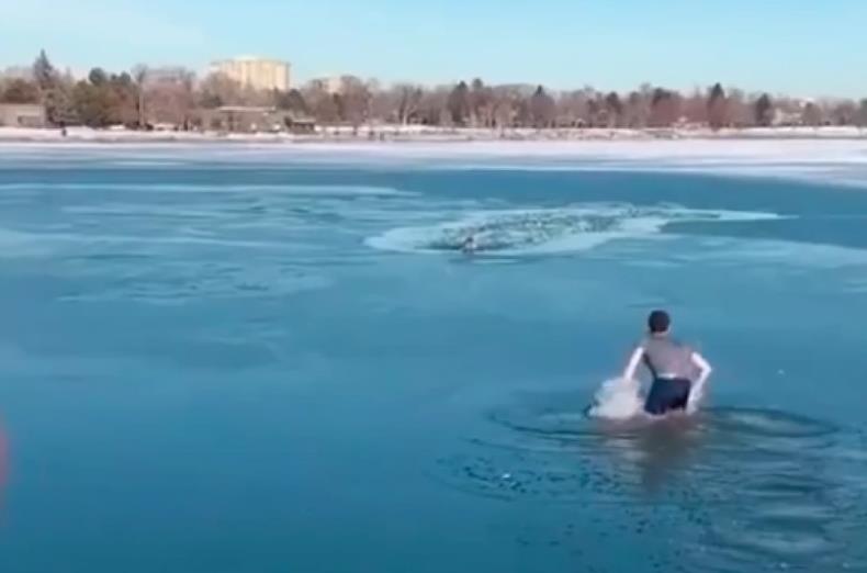 Куче пропадна во замрзнато езеро, еве што се случи во моментите што го делеа од смртта (видео)