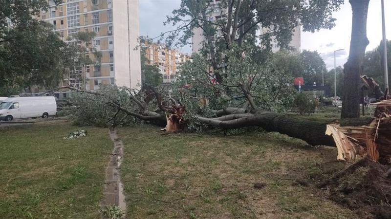 Страшно невреме во Хрватска: Гром скрши бандера, автомобилите под вода (ВИДЕО)