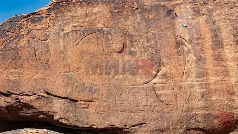 Во Саудиска Арабија откриено огромно праисториско ликовно дело изрезбано во камен