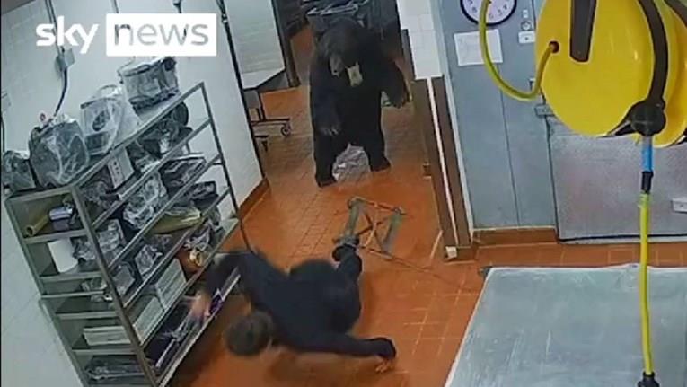 Мечка влезе во кујна на хотел во САД и го нападна чуварот (ВИДЕО)
