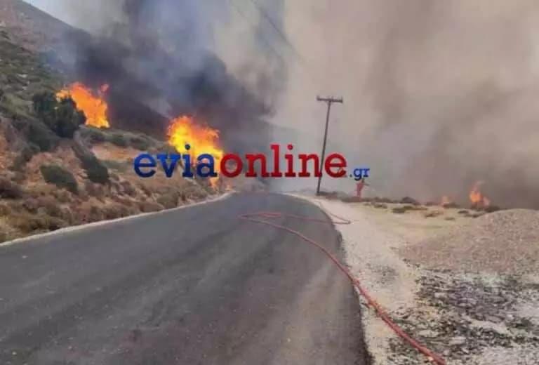 Голем пожар во јужниот дел на грчкиот остров Евија, превентивно евакуирани две села